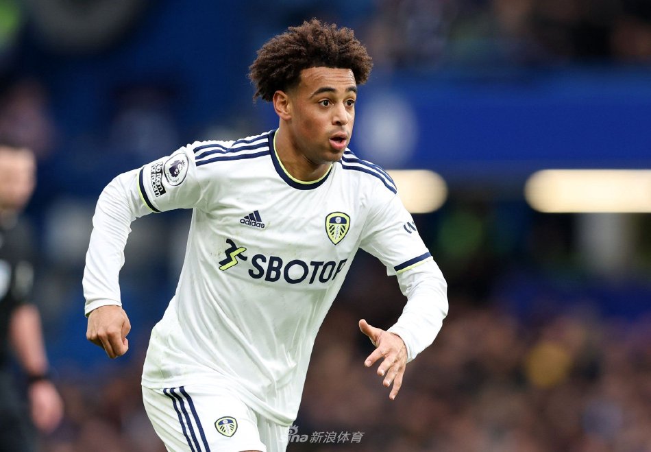 和未来潜力 和未来潜力